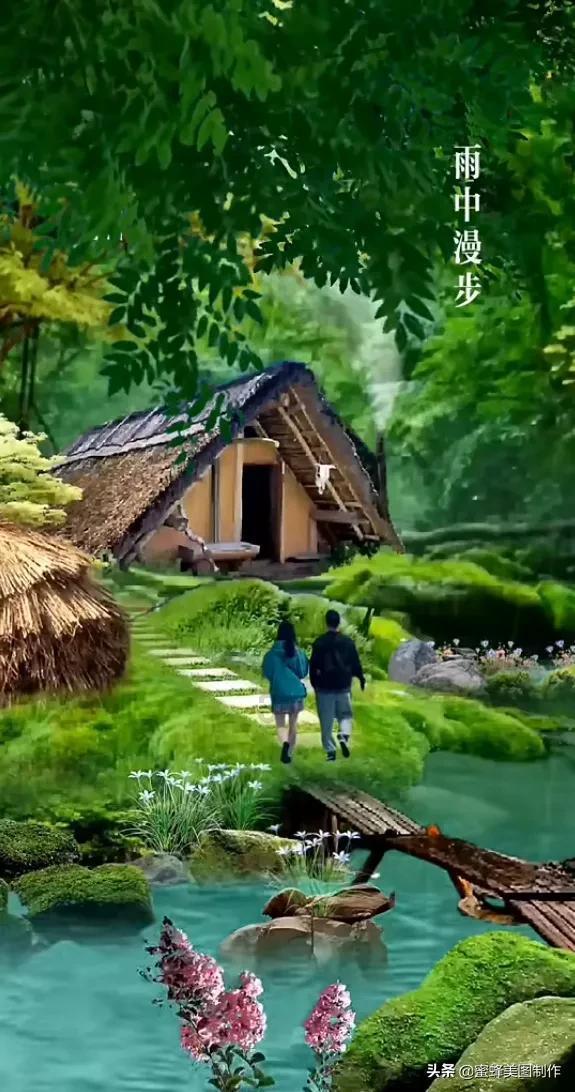 见缝插刀2