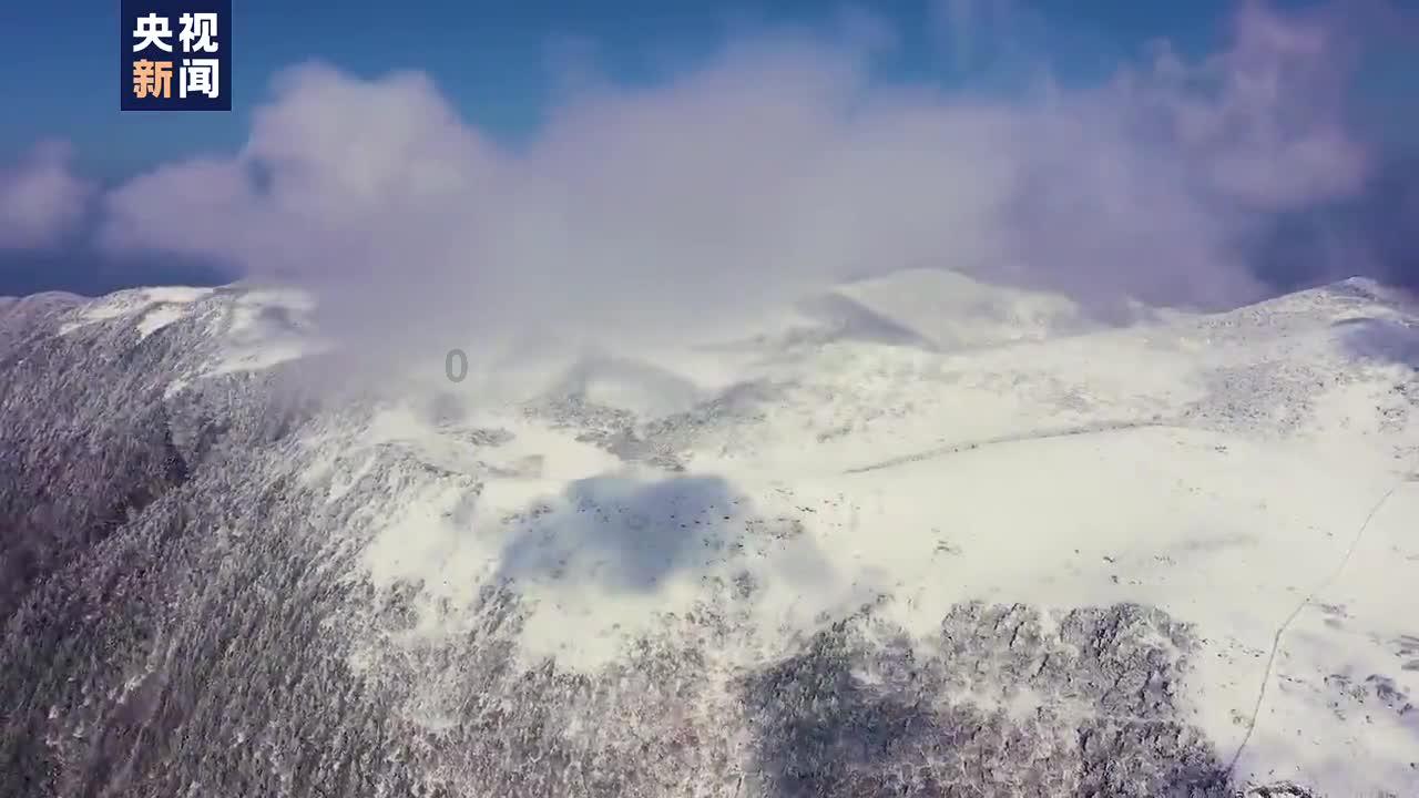 大丛林度假村逃生
