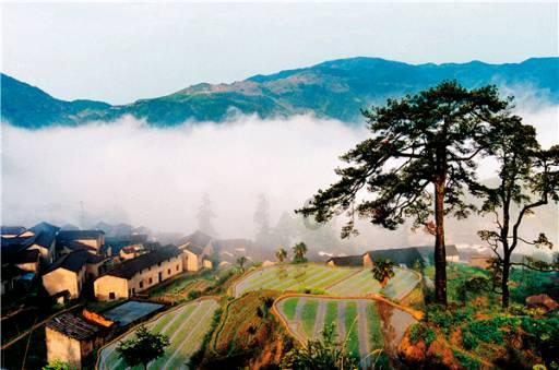 倒计时3天!赴三亚这场“年货盛宴”你准备好了吗?
