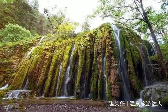 战锤：全面战争