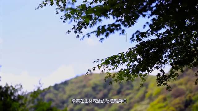 探索天涯,畅聊青海矫正近视的方法有哪些?交流平台