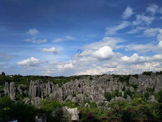 泡泡升空记8