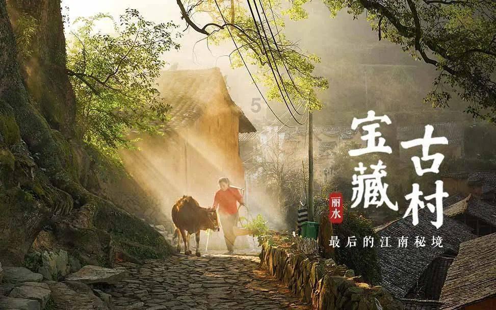 虫虫助手下载