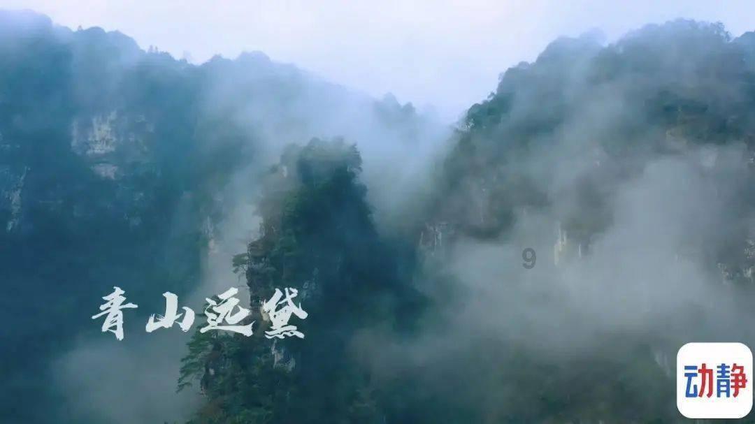 白色森林逃脱