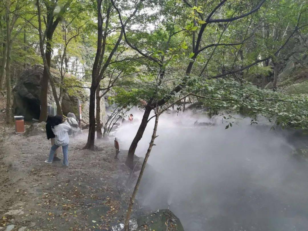 人生的遭遇,是无法改变的吗?-有问必答平台