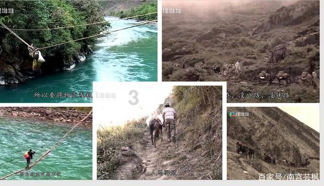 2024春节山东乡村文化旅游节丨“硬核”新农人的南果北种好“丰”景