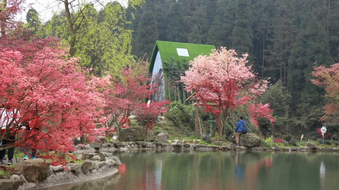 真实的韩国:繁荣都在电视里,城市如中国的小县城