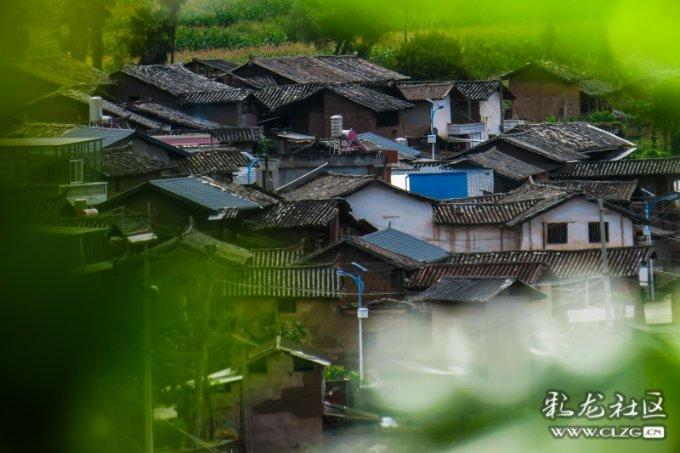小猫钓鱼游戏龙王版有船