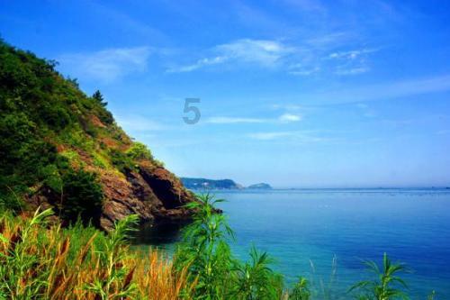 (“厦门实践”调研行)从湖到海湾:36年海洋生态保护的厦门实践