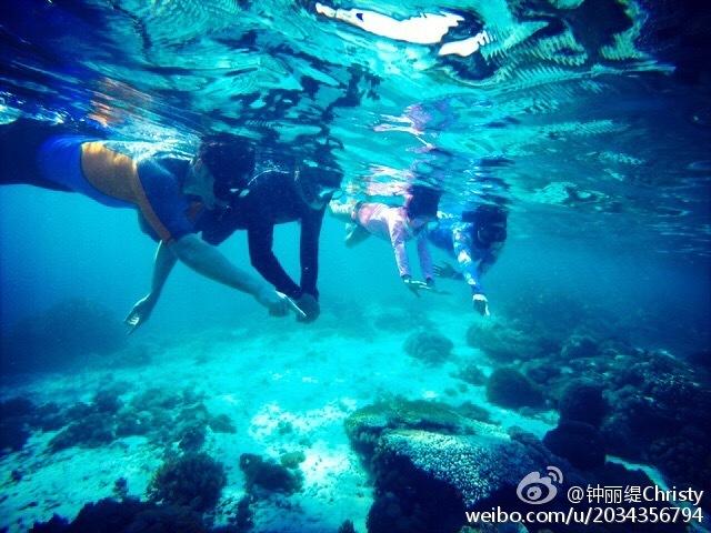 疯狂黏黏乐