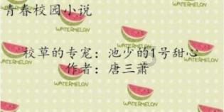 小艾比摄影家