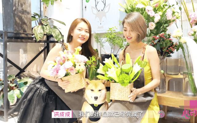 探讨天涯,尽在奥迪a6车顶有六个圆圈是什么