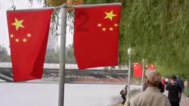 凤凰不好惹