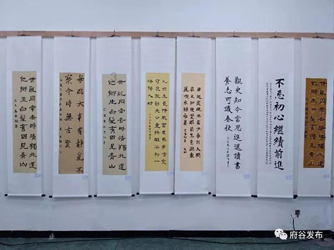 异星探险家