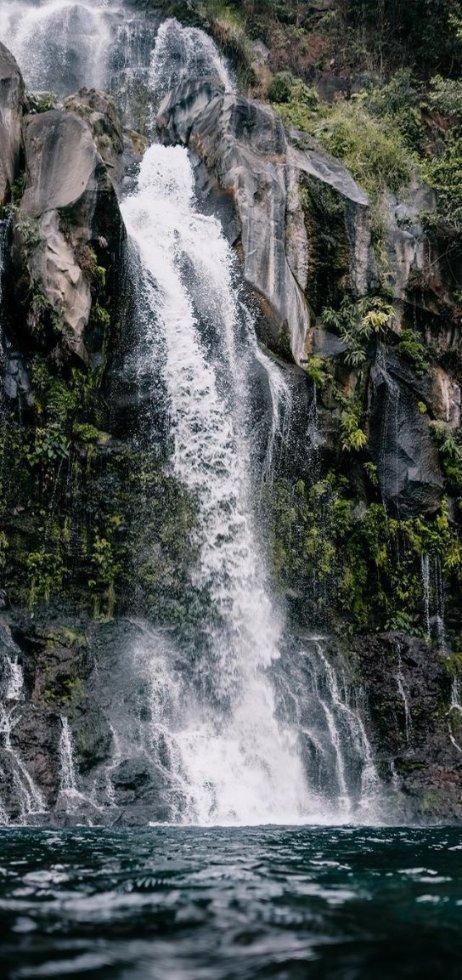 古怪巫师逃离村庄