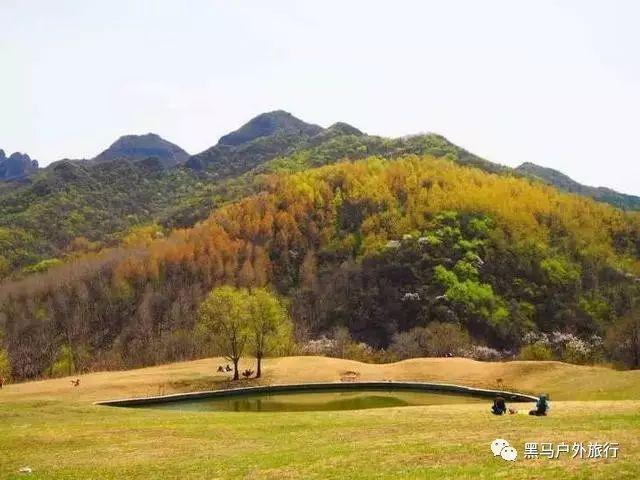沙漠中寻宝