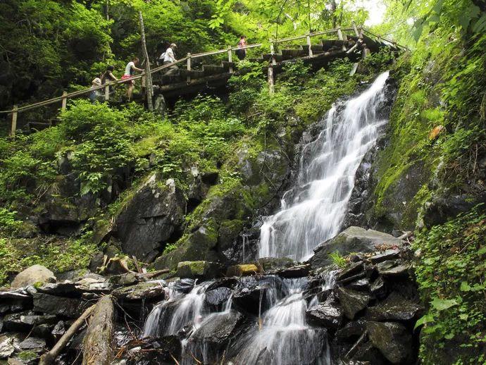 油菜遭受低温雨雪不利气候应对措施
