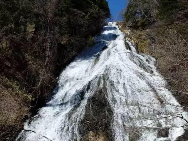 拳皇命运手游