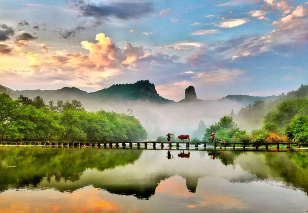 拯救精灵的土地10